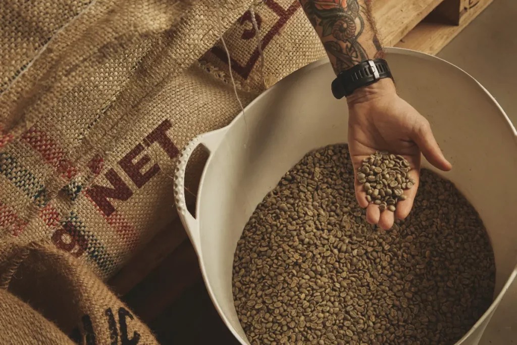 Coffee Supply Chain