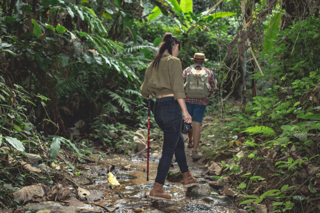 The Amazon Rainforest Earth's Lungs and Biodiversity Treasure