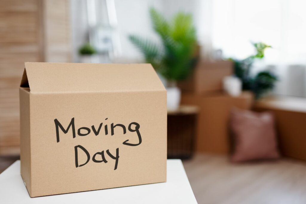 Avi-Cohen-Moving