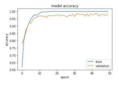 AI Cancer Detection