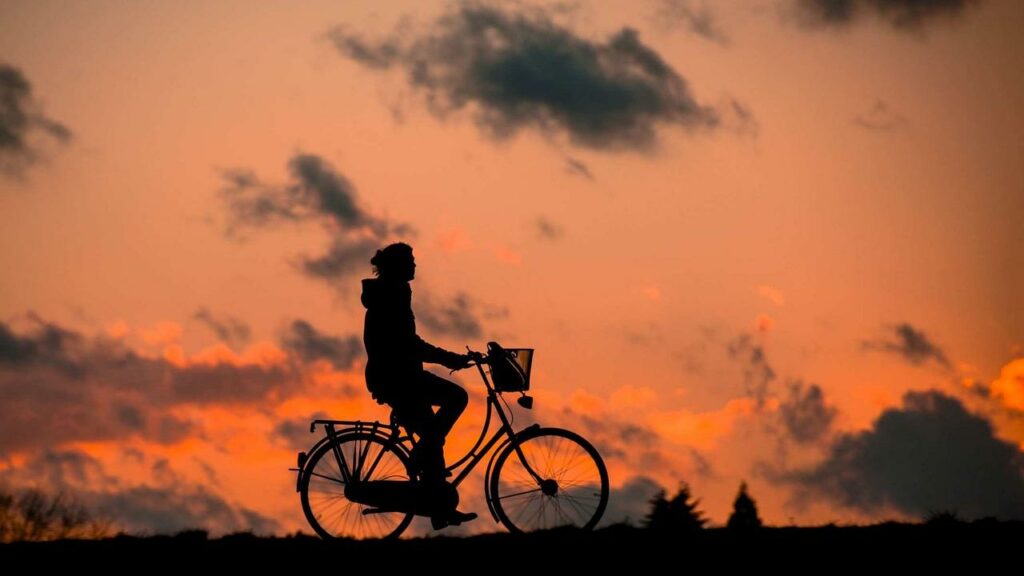 Two-Wheel Woes and Legal Labyrinths