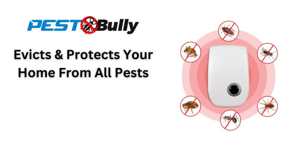 PestBully Ultrasonic Pest Repeller: Your Ultimate Guide to Effective Pest Control