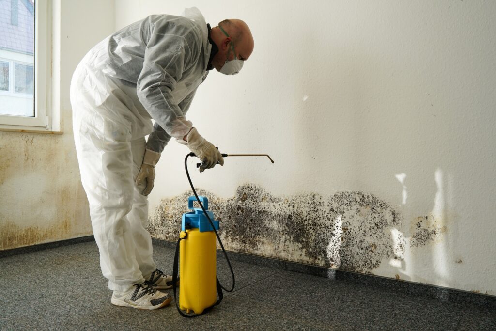 flood restorations