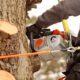 Follow the Advice of Arborists for Your and Your Tree’s Safety!