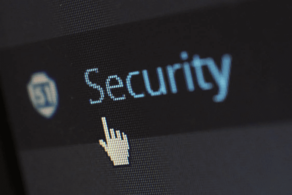 Corporate Security