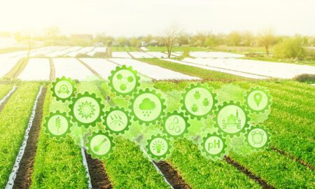 Futuristic innovative technology pictogram on green farms in potato fields