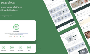 With an AI E-commerce website builder with a Growth Strategy, Elevate your Jewelry Online | Zegashop