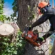 Tree Safety: Preparing for and Responding to Tree Emergencies