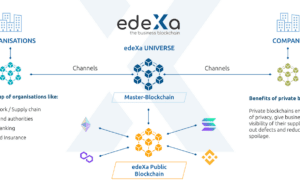 edeXa's Hybrid Blockchain