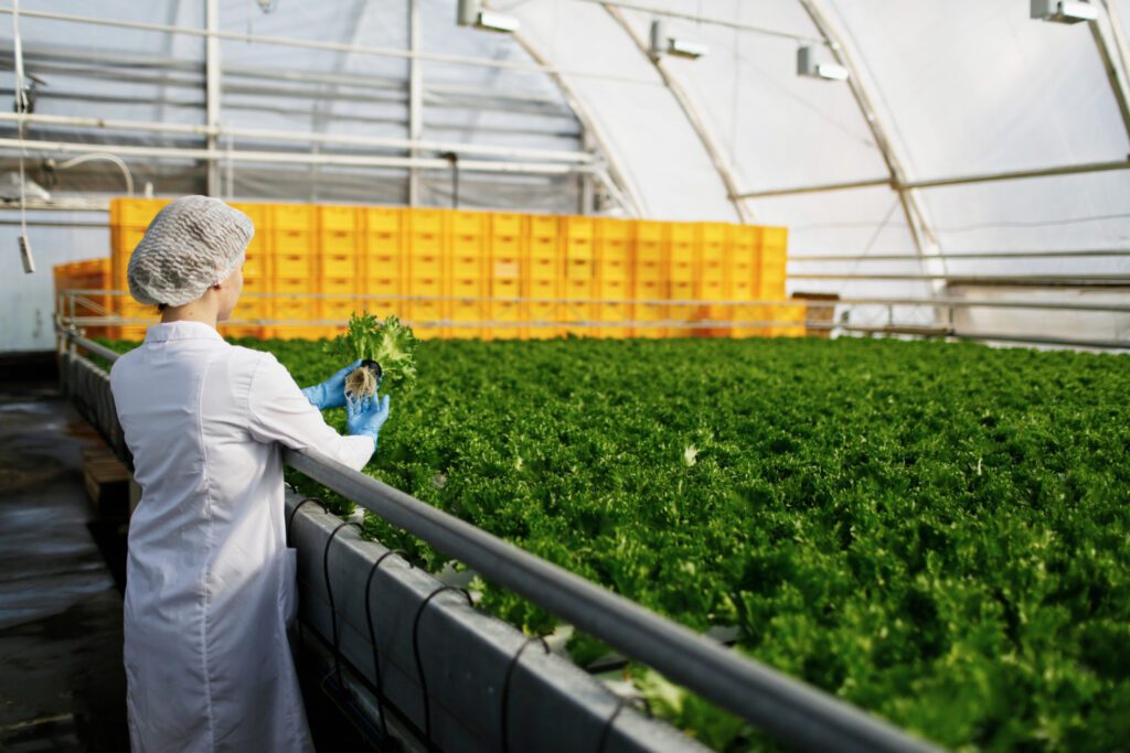 6 Benefits of Agrichemicals to Modern Farming