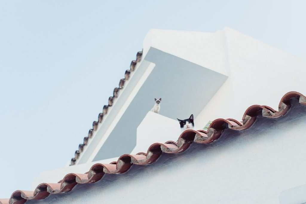 Roof Repair