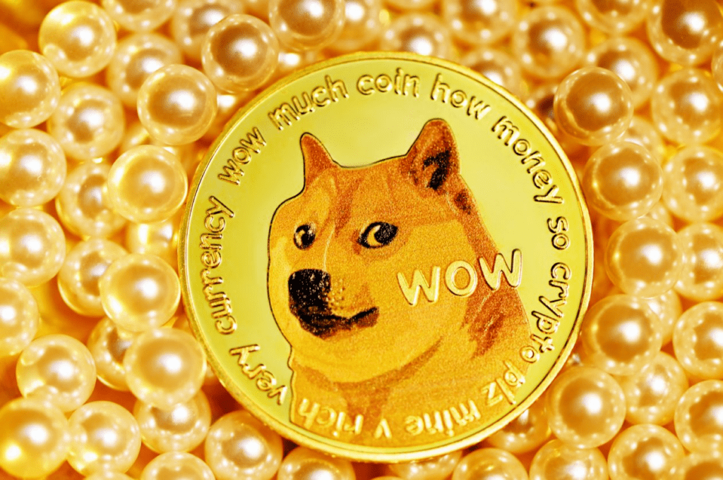 Doge