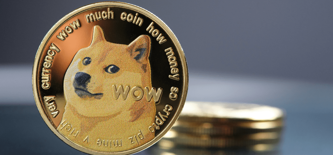 Dogechain Team