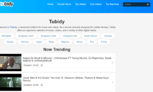 Expert Tricks for Quick and Easy Music Downloads on Tubidy