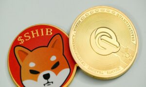 Shiba-Inu-SHIB-An-In-Depth-Analysis