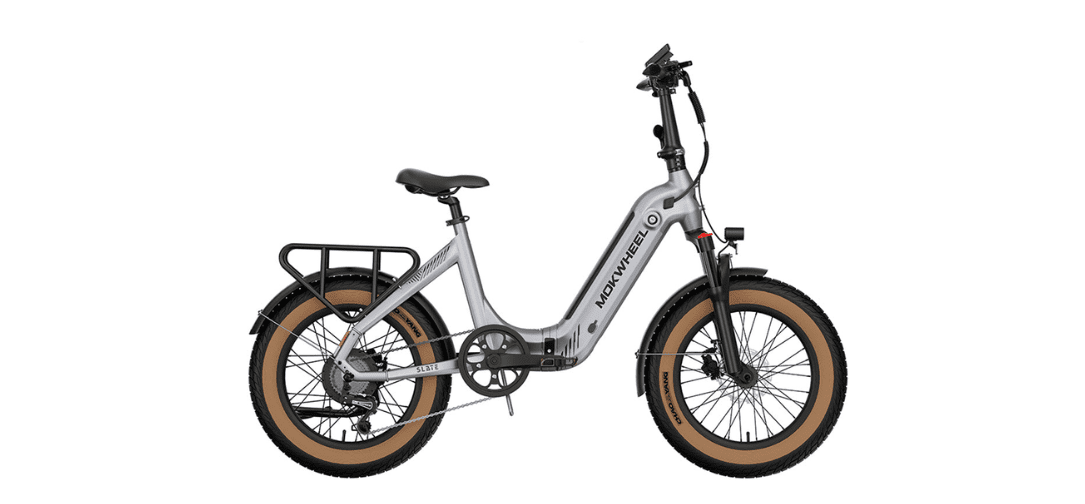 Folding Electric Bike