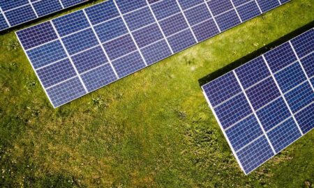 Going Green: How a Solar Expert Can Help Transition Your Home