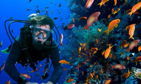 PADI Diving Courses in Hurghada