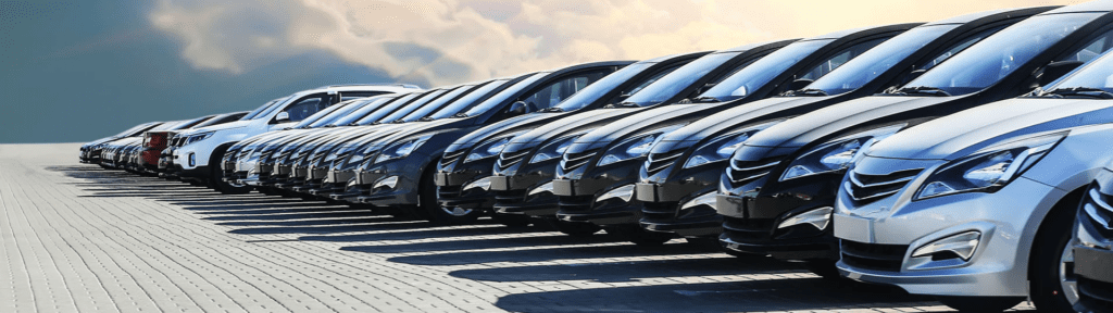 What are the Main Rules and Guidelines About Driving in New Zealand for Those Who Rent Long-Term?