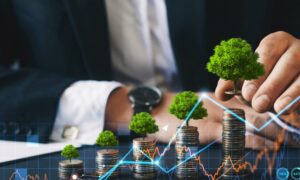 Unlocking Investment Potential in 2024: The Top 5 Tools for Quick Profits with Finstep.net