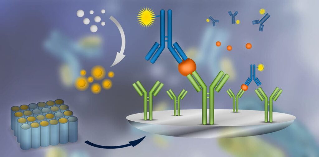 ELISA Works for Precise Detection