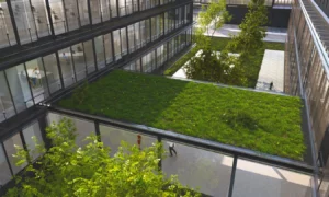 Protecting Our Environment