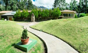 Best Landscapers in Toronto