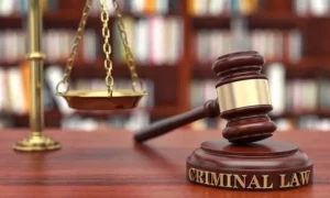 Criminal Lawyers