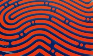 Fingerprint software