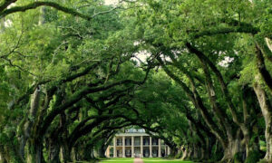 TreatmentRehabCenters.org Acquires NewBeginningsLakeCharles.com: Expanding Behavioral Health Advocacy in LA and Beyond