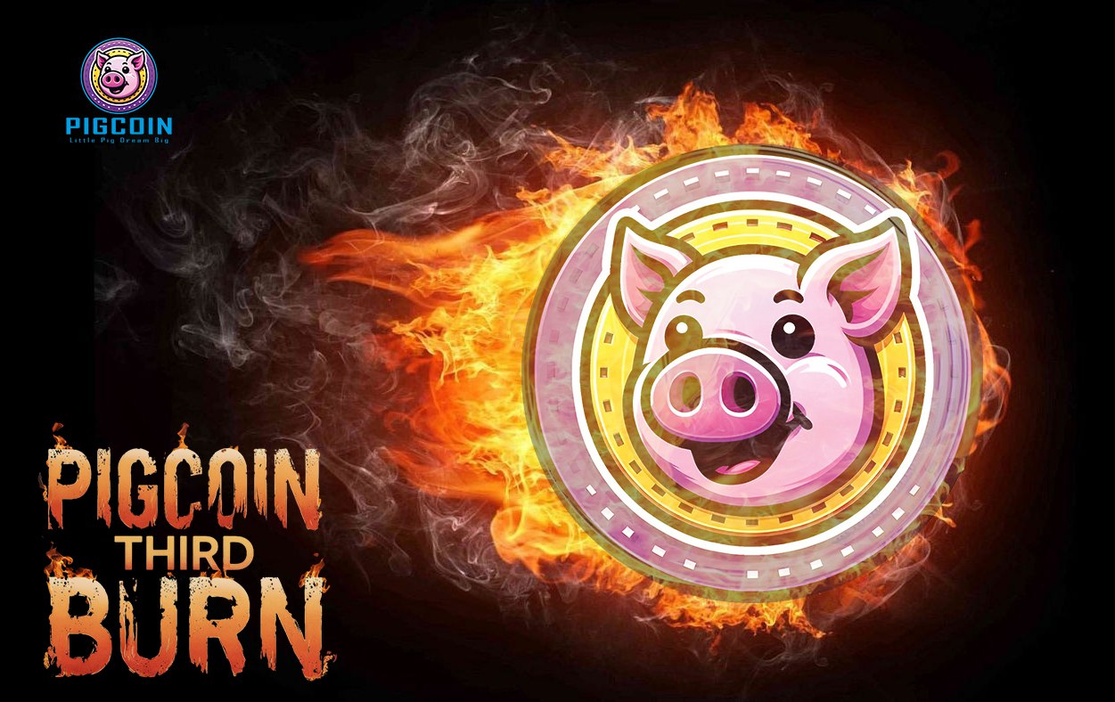 Pigcoin Burns 90 Billion Tokens in January 2025