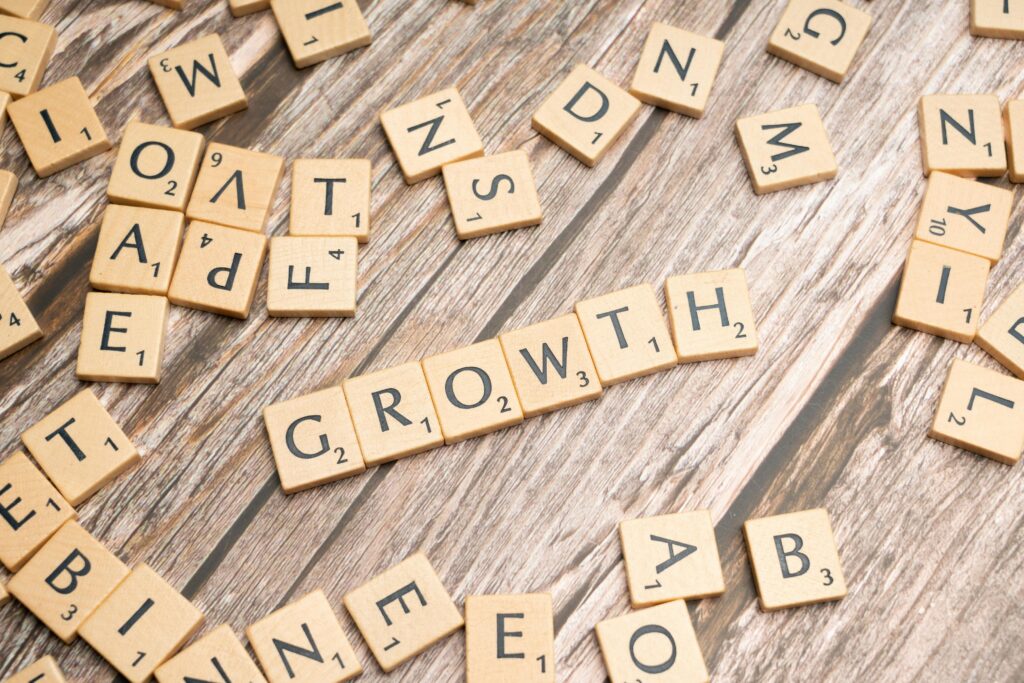 How Do Businesses Ensure Financial Stability and Growth?