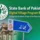 Digital Pakistan Vision