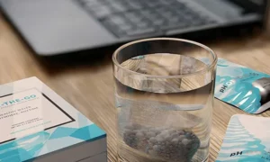 Alkaline Water Filter