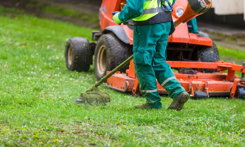 First Impressions Count: Why Lawn Care Is Your Business’s Silent Sales Tools