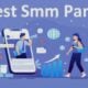 SMM Panels
