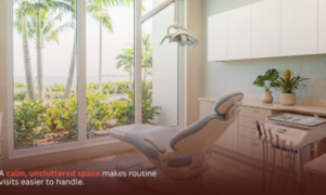 Dentists in Florida