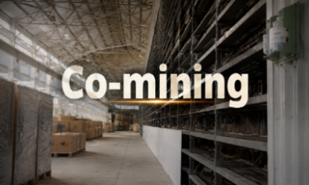 ASIC Ownership