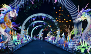 Nighttime Attraction