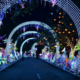 Nighttime Attraction