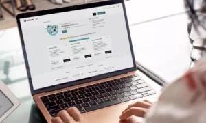 Domain Price