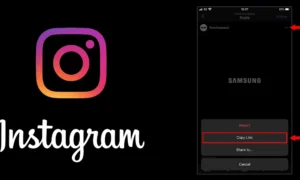 Save Your Favorite Instagram
