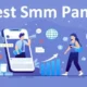 SMM Panels