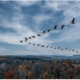 Climate Change Is Changing Canada