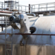 Energy-Efficient Side-Entry Mixers Improve