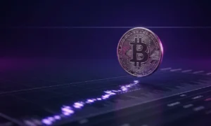 Bitcoin Bear
