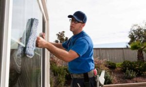 Window Cleaning Experts