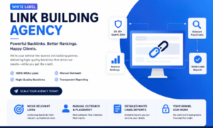 White Label Link Building’s Agency