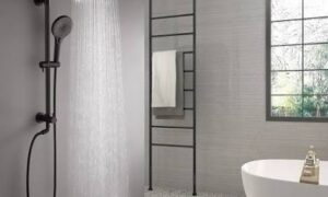 Best Showerheads for Comfort and Efficiency