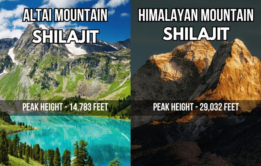 Himalayan Shilajit Resin